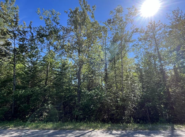 L 177-179 Northland Heights Drive lot: 177,178,179, Presque Isle, MI 49777