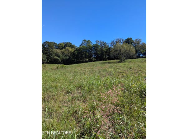 10816 Richland Rd, Mascot, TN 37806