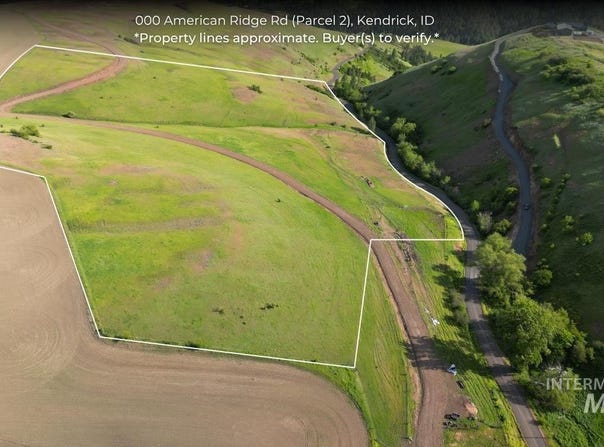 American Ridge Rd (Parcel 2), Kendrick, ID 83537