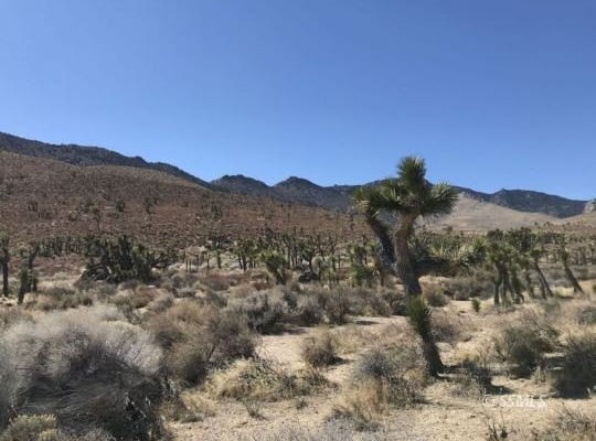 32 James Rd, Inyokern, CA 93527