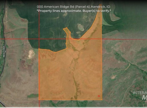 American Ridge Rd (Parcel 4), Kendrick, ID 83537