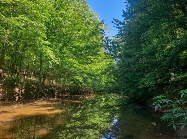TOMMY MCGOUGH Rd, Carbon Hill, AL 35549