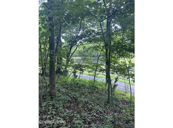 26 Rolling Green Court, Fairfield Glade, TN 38558