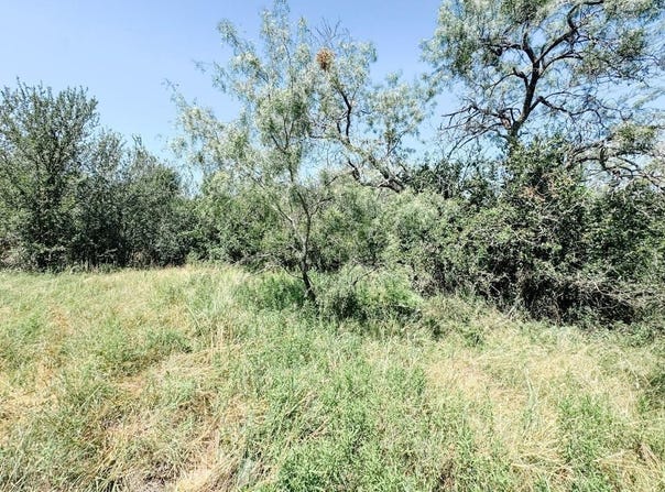 Morris Sheppard Drive lot: 11, Brownwood, TX 76801