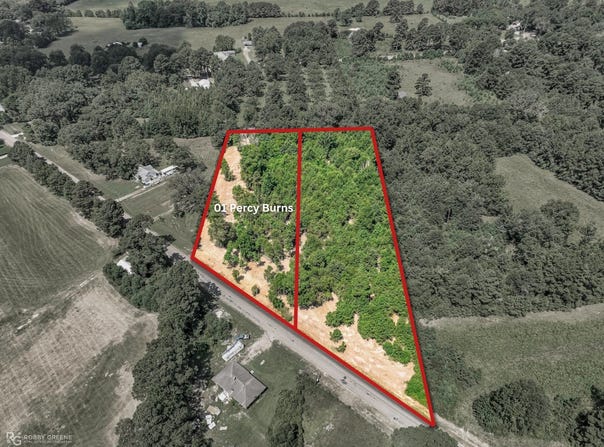 01 Percy Burns Road, Springhill, LA 71075