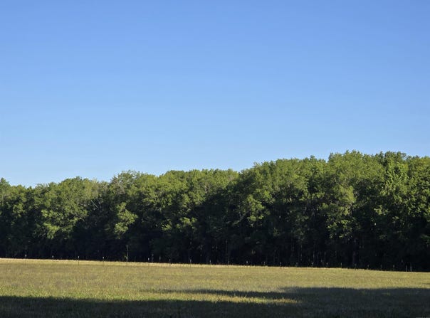 Cypress Lake Road, Beebe, AR 72012
