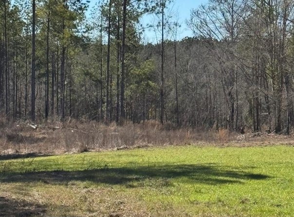 CR 6650, BRUNDIDGE, AL 36010