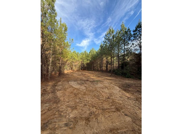 Mount Calvary Church Road, Louisville, MS 39339