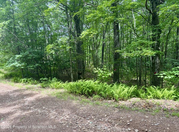 Forest Lane, Archbald, PA 18403