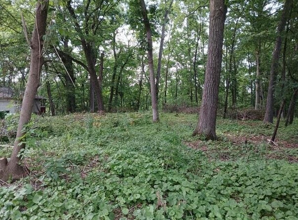 1272 Westlake Woods Drive, Battle Creek, MI 49037