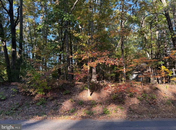 204 CONSTITUTION Boulevard, LOCUST GROVE, VA 22508