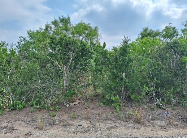 CR 148, Kenedy, TX 78119