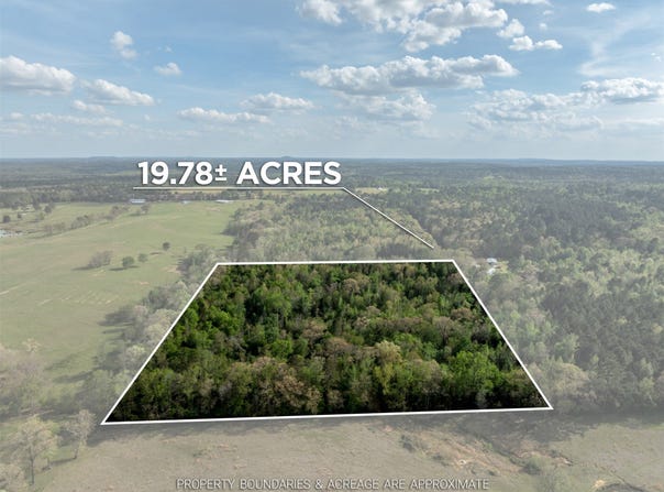 White Tail Road, Gilmer, TX 75644