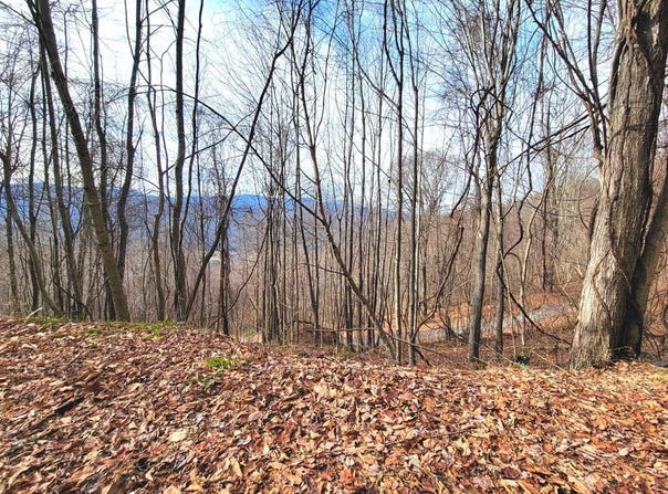 75 Rimrock Rdg, Clyde, NC 28721