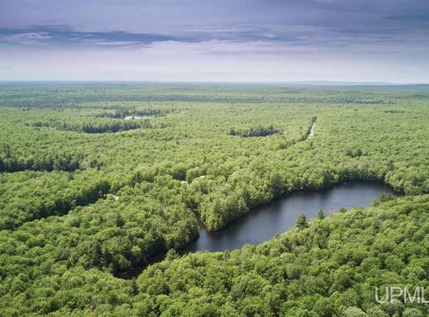 H58 Road, Shingleton, MI 49884