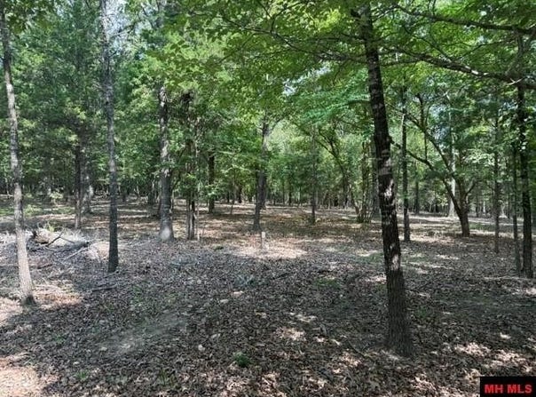 18 CATAWBA lot: 19, Clarkridge, AR 72623