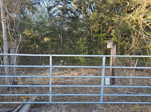 82nd St, Trenton, FL 32693