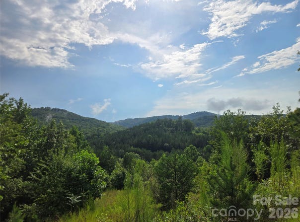 Pinegrove Drive, Bostic, NC 28018