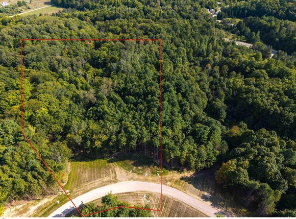 E Bellinger Road lot: 5, Cedar, MI 49621