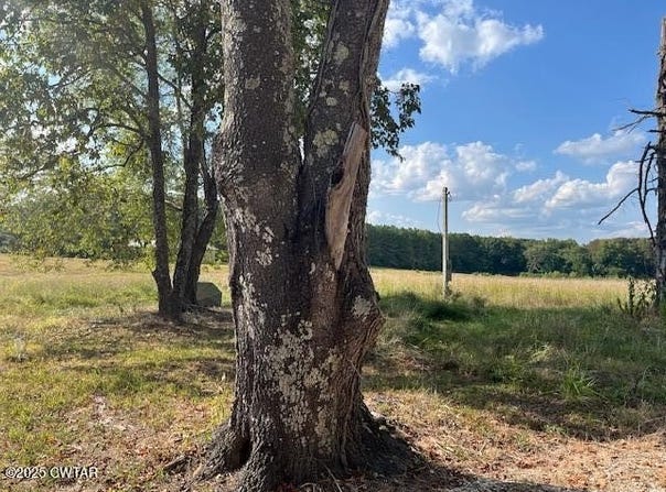 85 Burns Lane, Lavinia, TN 38348