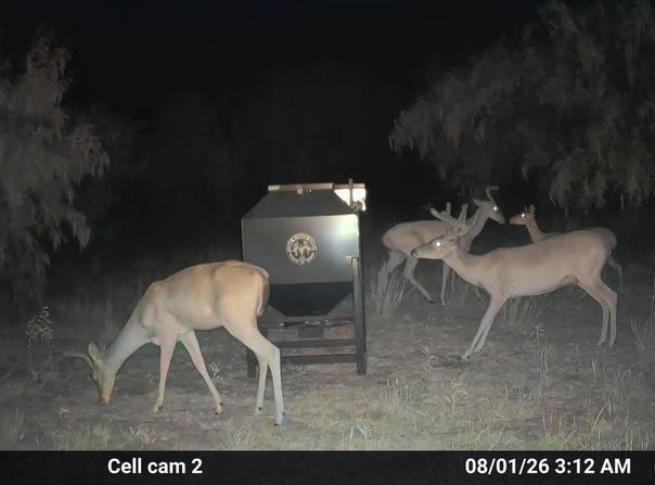 County Road 239, Afton, TX 79220