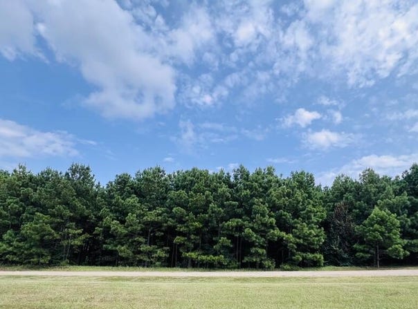 284 Leeward Drive, Hemphill, TX 75948