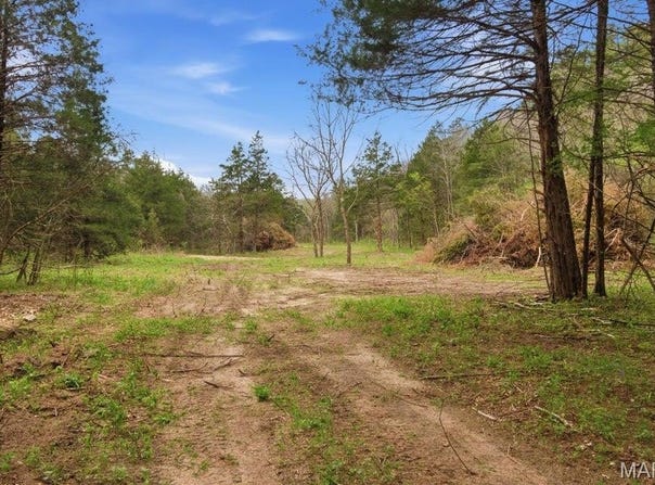Tract3 W Highway 32, Licking, MO 65542