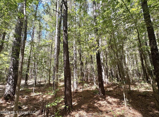 4 Clara Foote Rd, Braxton, MS 39044