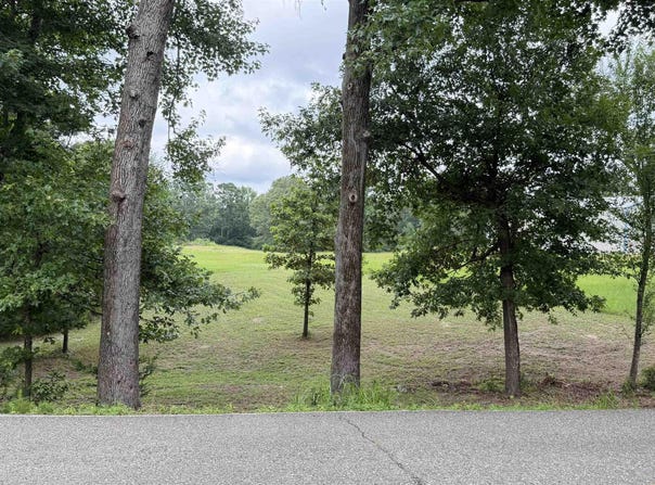 Point View Road, Benton, AR 72019