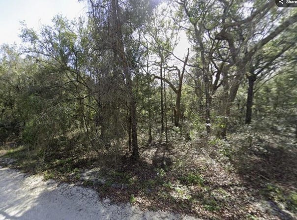 34086 ARROWROCK Street, WEBSTER, FL 33597