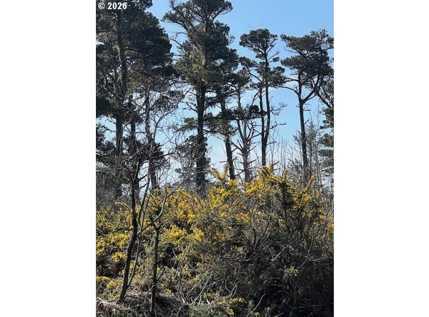 18th St SW, Bandon, OR 97411