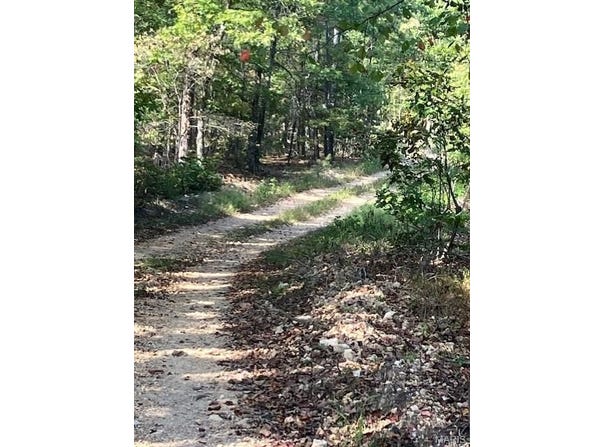 118 Madison CR 410, Fredericktown, MO 63645