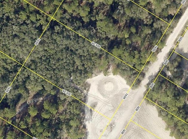 MEDICINE STONE Drive, WEBSTER, FL 33597