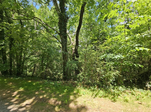 MICHAEL WAY, Newport, TN 37821