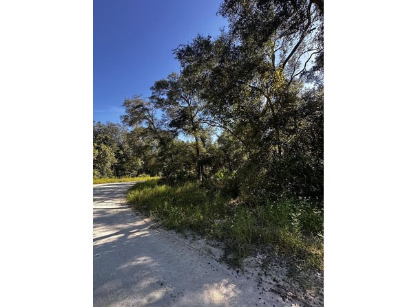 NE 306th Ave, Old Town, FL 32680