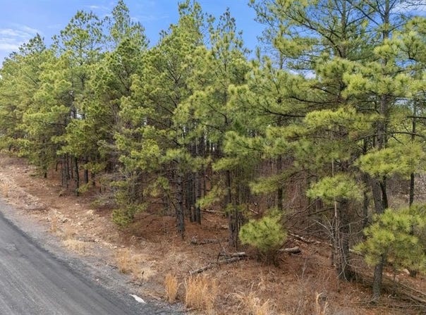 905 Timberline Trail, Broken Bow, OK 74728
