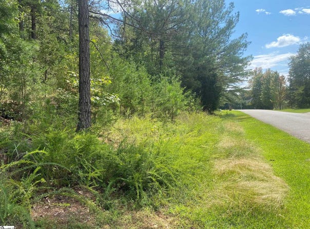 203 W Peninsula Drive, Laurens, SC 29360