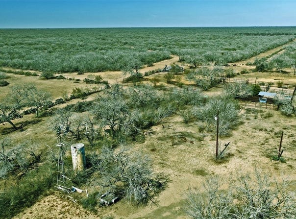 2104 CR 440, Alice, TX 78332