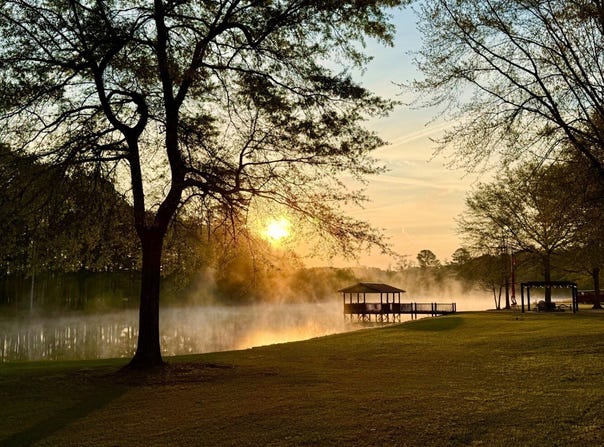 933 Mackey Boshell Road, Jasper, AL 35501