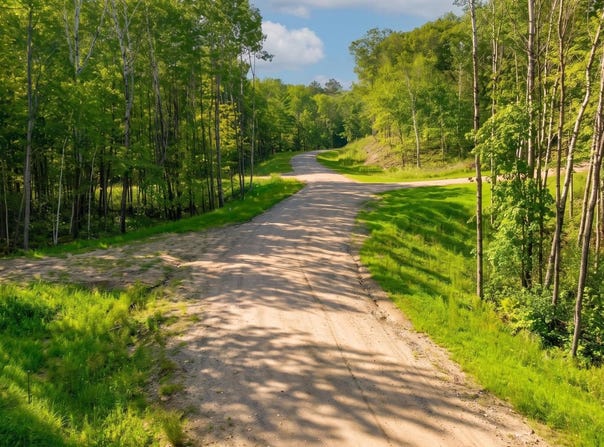 Lot 6, Walker, MN 56484
