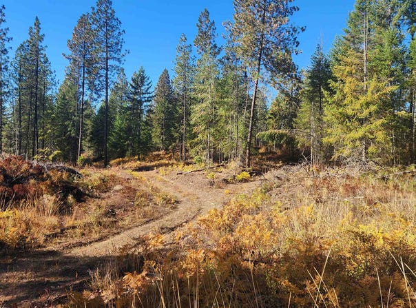 43xx Lyons Hill Rd, Springdale, WA 99173