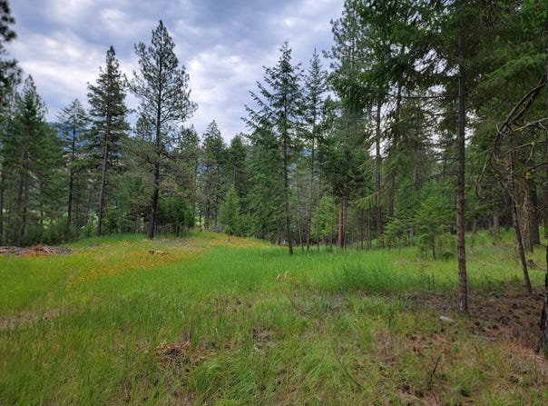 40 EVERGREEN Dr, CURLEW, WA 99118