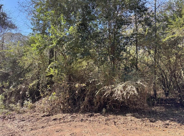 Gibson Street, Elba, AL 36323