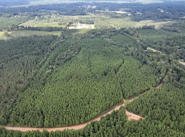 T-1 Provencal Vowell Mills Rd, Natchitoches, LA 71468