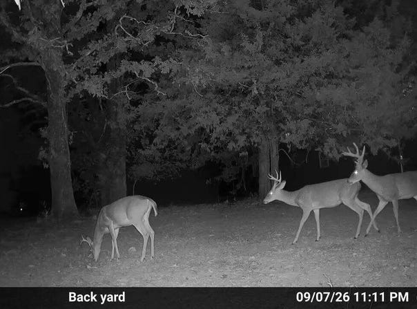 County Road Jj-416, Ava, MO 65608