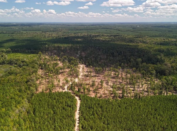 Bradley Road, Banks, AR 71631