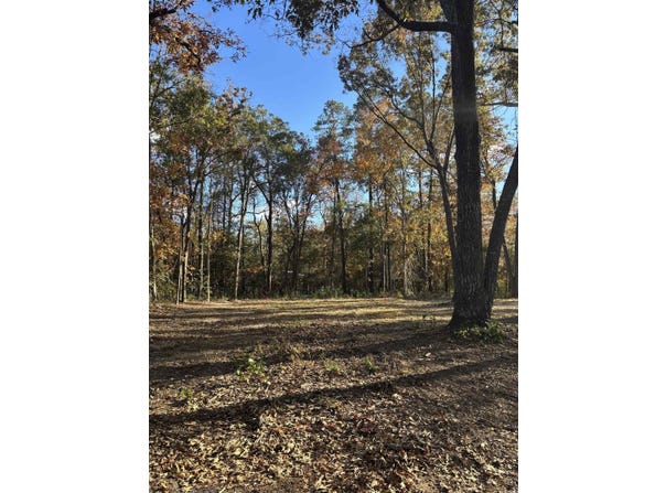 292 Pineneedle Circle, Johnsonville, SC 29555