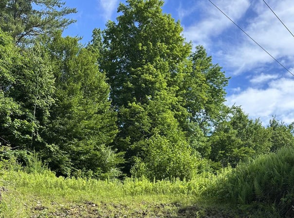 Canton Mountain Road lot: 020, Jay, ME 04239