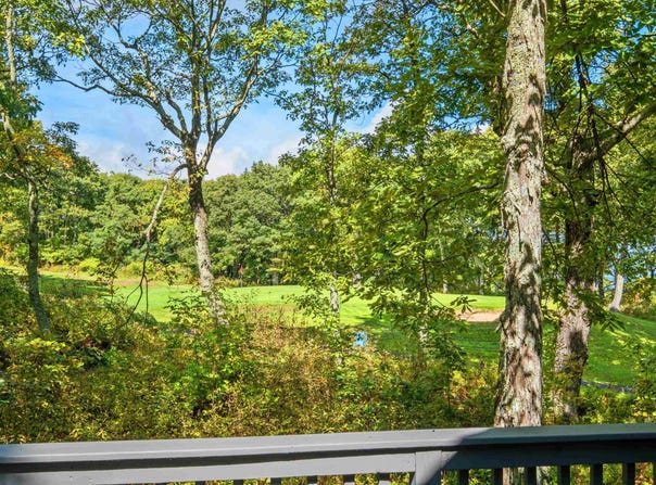 911 DEVILS KNOB LOOP, WINTERGREEN RESORT, VA 22967