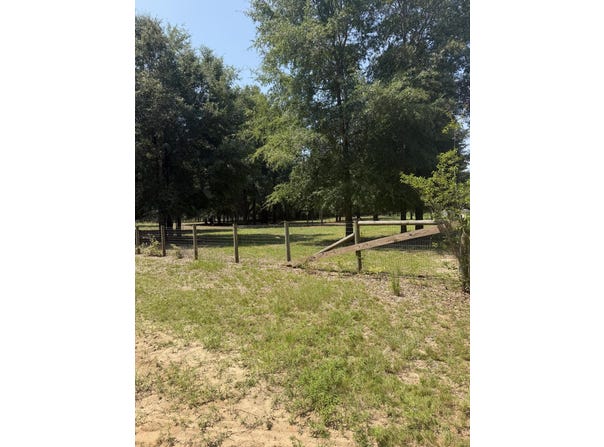 5 Cast Iron St (Lot 5), Windsor, SC 29856
